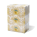 White Swan® 2-ply Facial Tissue Poly Pack, 4 x (9 x 100 shts)