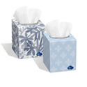 White Cloud® 2-Ply Cube Facial Tissue - Coming Soon (US Only)